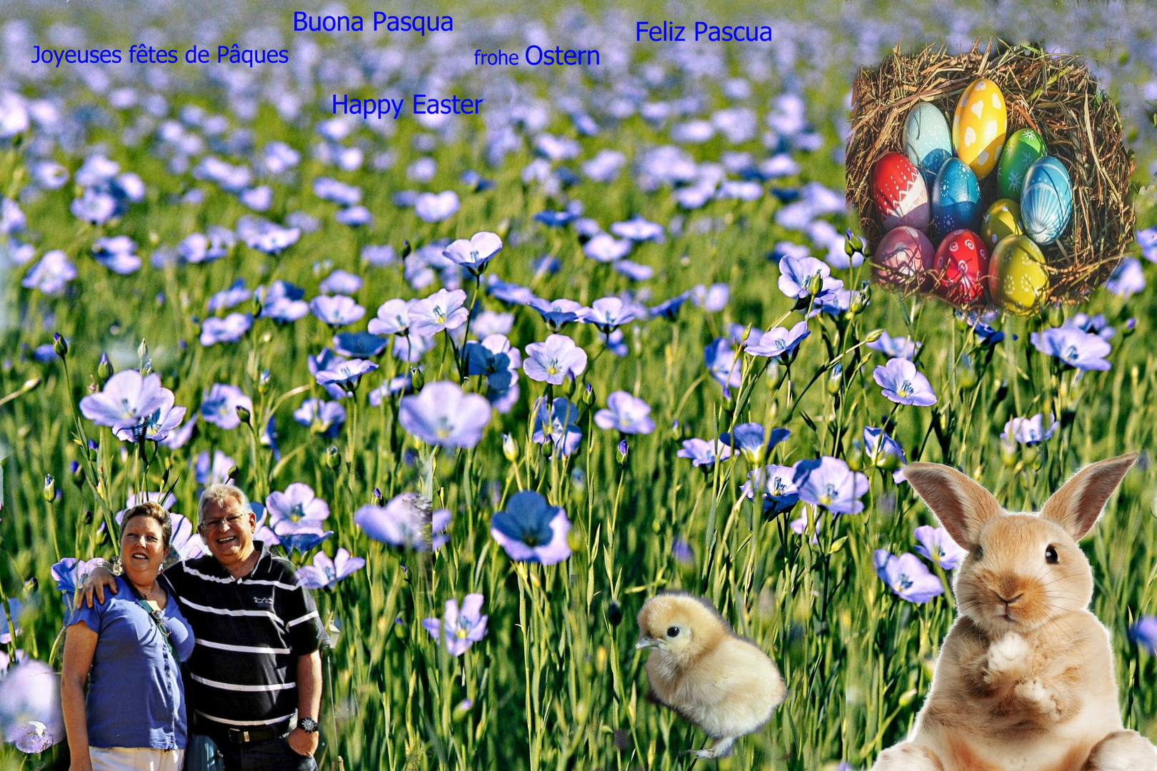 Avec Vous De Tout Coeur En Ces Temps Difficiles Photo Et Image Cartes De Voeux Easter Pasqua Images Fotocommunity Avec Vous De Tout Coeur En Ces Temps Difficiles Photo Et Image Cartes De Voeux Easter Pasqua Images Fotocommunity
