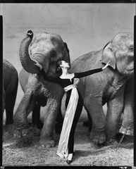 Avedon Dovima con elefanti Parigi agosto 1955