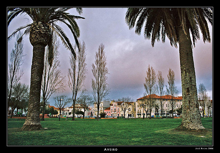 Aveiro after the sunset