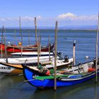 AVEIRO BOATS