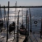 AVEIRO BOATS