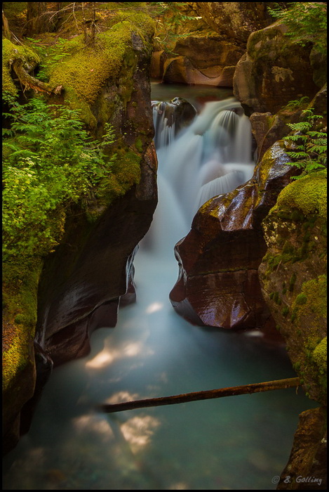 Avelanche Creek