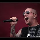 Avenged Sevenfold [WFF]