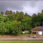 *Avenida de Samaná*