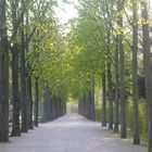 Avenue