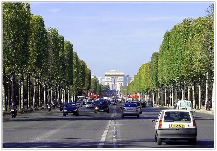 Avenue des Champs-Elysees