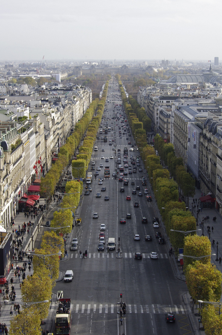 Avenue des Champs-Élysées