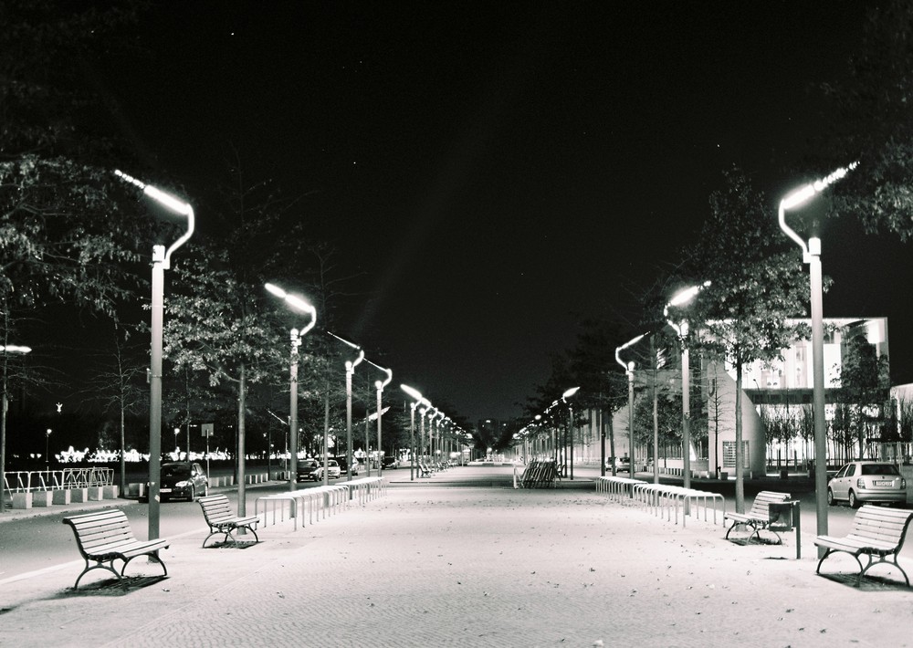 avenue of lights