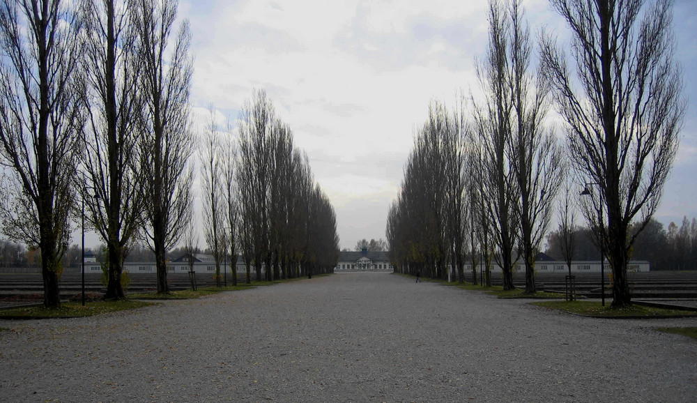 Avenue of Tears