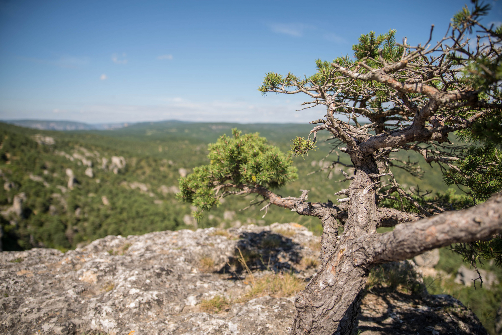 aveyron_les causses