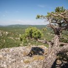 aveyron_les causses