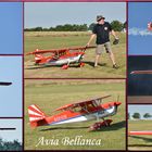 Avia Bellanca