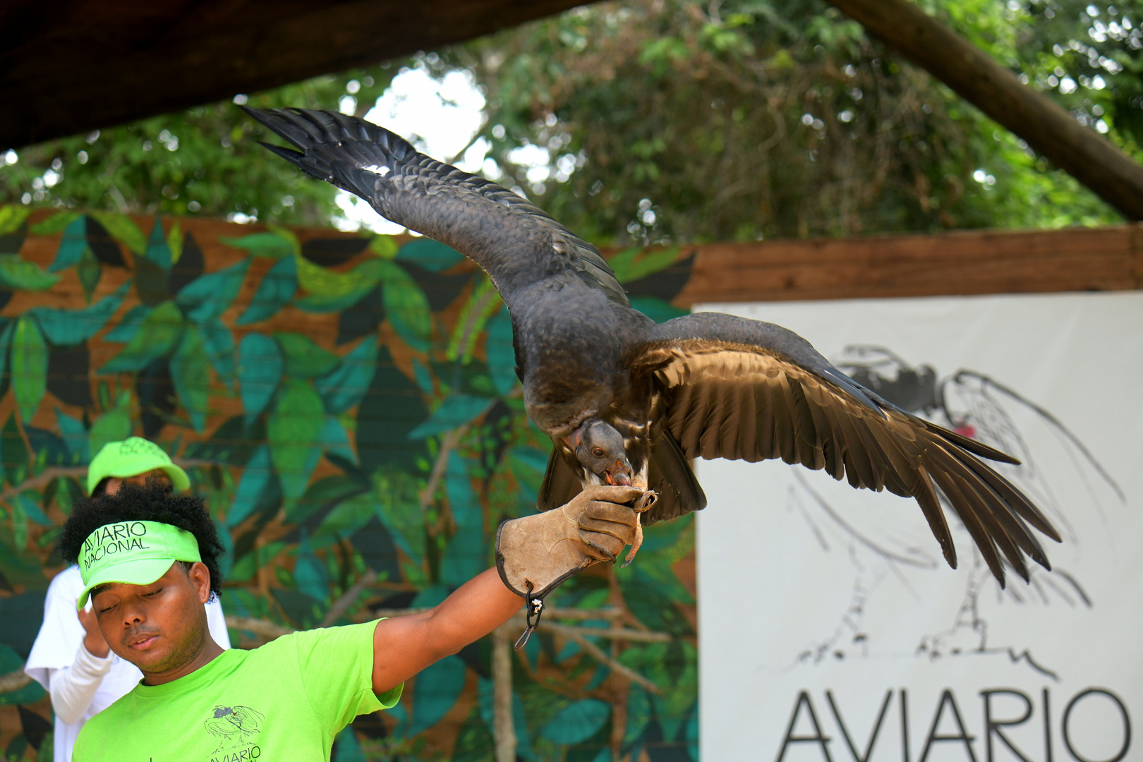 Aviario Nacional   28