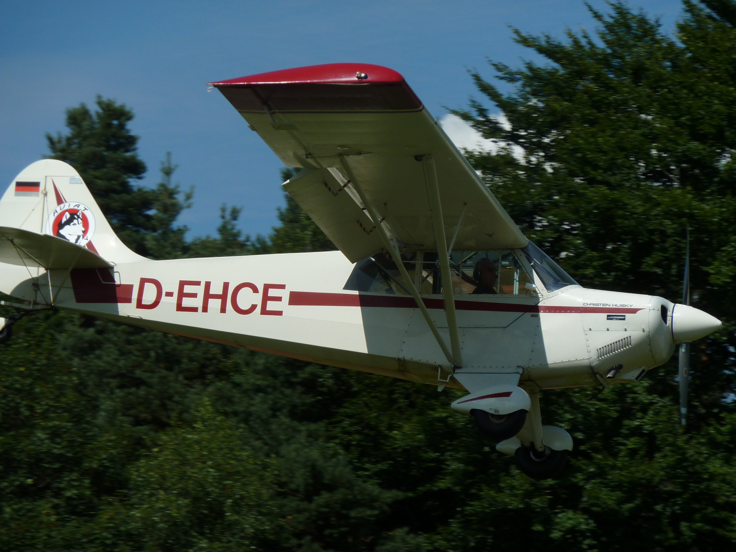 Aviat A-1B Husky Landeanflug segelflugplatz Esslingen