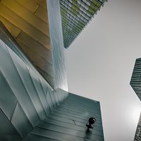 AviatorShots81.art