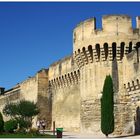 Avignon 01