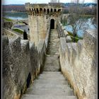 AVIGNON - 2 -