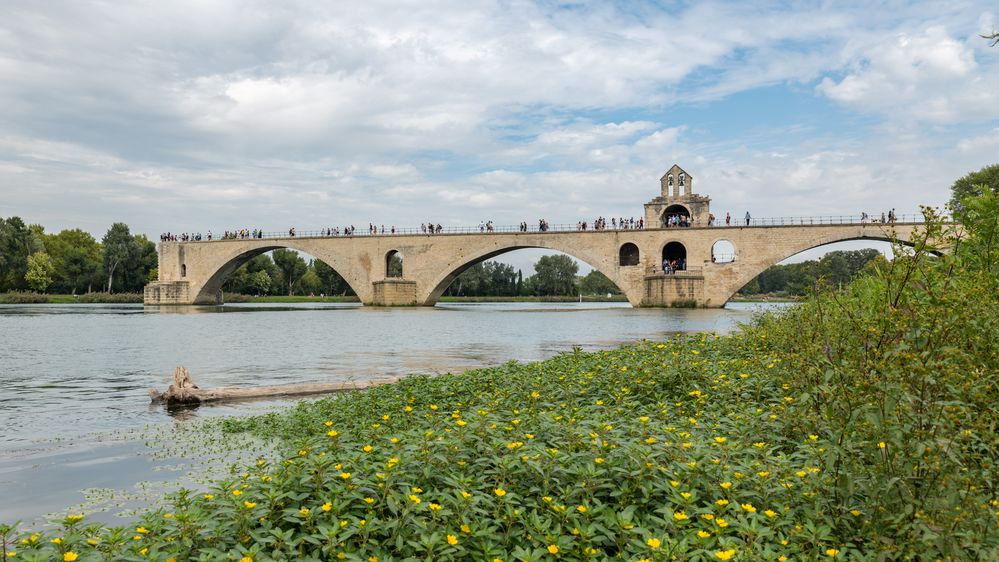 Avignon