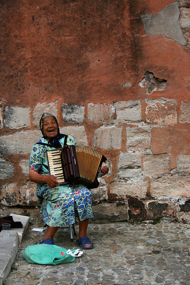 Avignon - Accordionist / Accordion Player