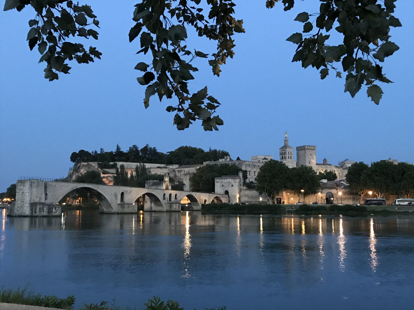 Avignon