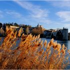 Avignon au fil du Rhône