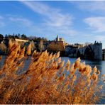 Avignon au fil du Rhône