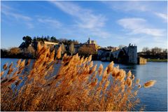 Avignon au fil du Rhône