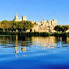 Avignon au fil du Rhône