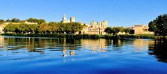 Avignon au fil du Rhône