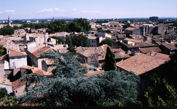 Avignon: Blick auf die Altstadt