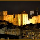 Avignon by night