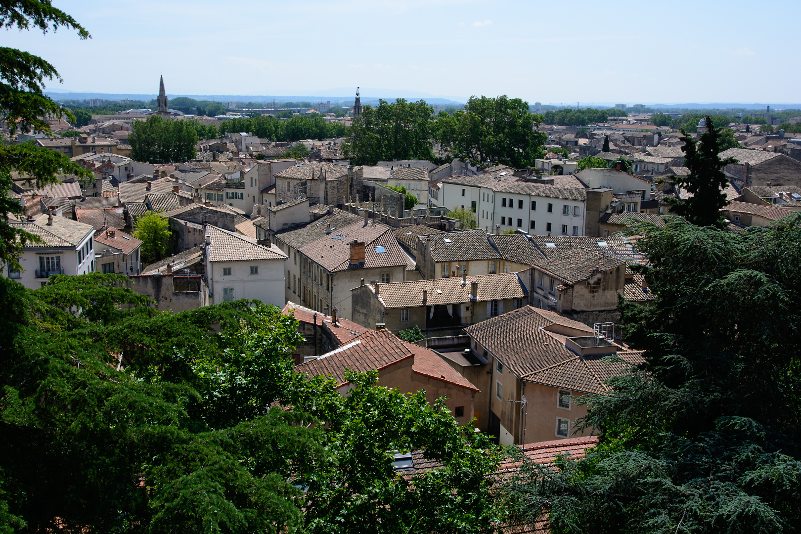 Avignon