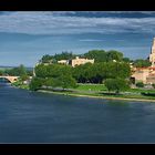 Avignon - Cité des Papes