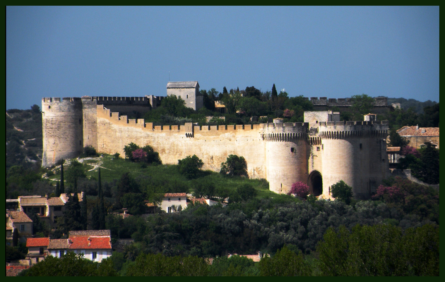 Avignon et son château.