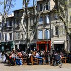 Avignon - Frühjahr im Bistrot unter Platanen (Kalender 2019, März)