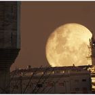 Avignon nocturne