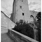 Avignon - Palais des Papes