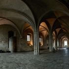 Avignon Papstpalast Audienzhalle Pano