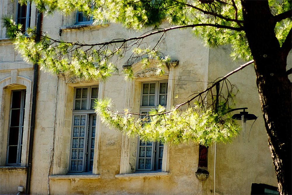 Avignon - Summer in the City