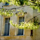 Avignon - Summer in the City