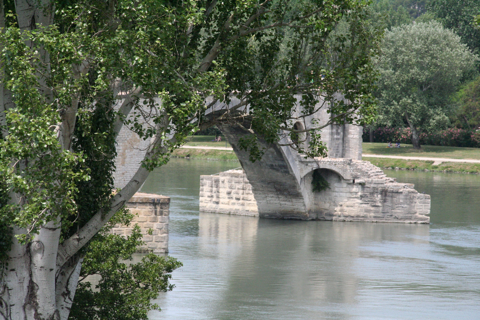 Avignon -Sur le pont d’Avignon in Südfrankreich-