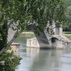 Avignon -Sur le pont d’Avignon in Südfrankreich-