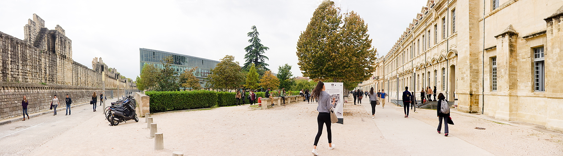 avignon_Uni_panorama