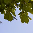 Aviones plateados