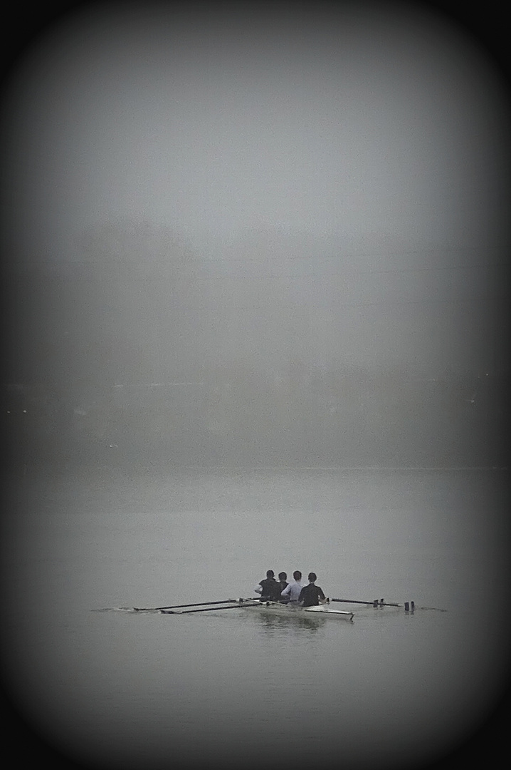 Aviron dans la ouate 