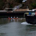 Aviron  pour petits et gros 