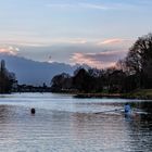 Aviron sur la Marne .