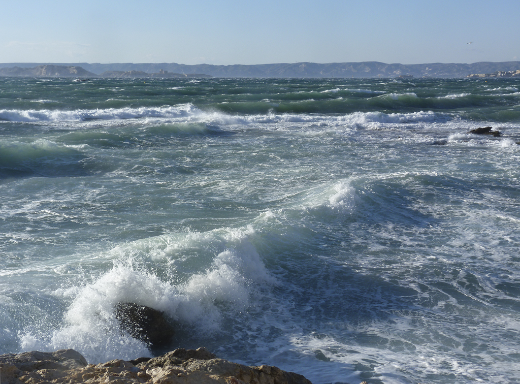 Avis de grand frais en Méditerranée