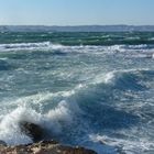 Avis de grand frais en Méditerranée