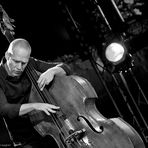 .Avishai Cohen